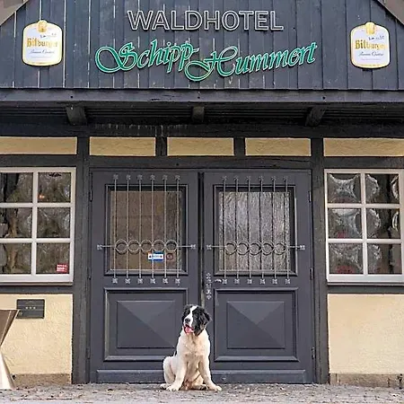 Waldhotel Schipp-hummert 3* אמשדטן