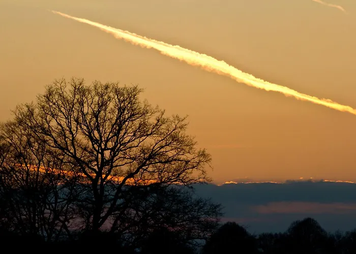 酒店 施普摩尔特瓦尔德酒店 埃姆斯代滕