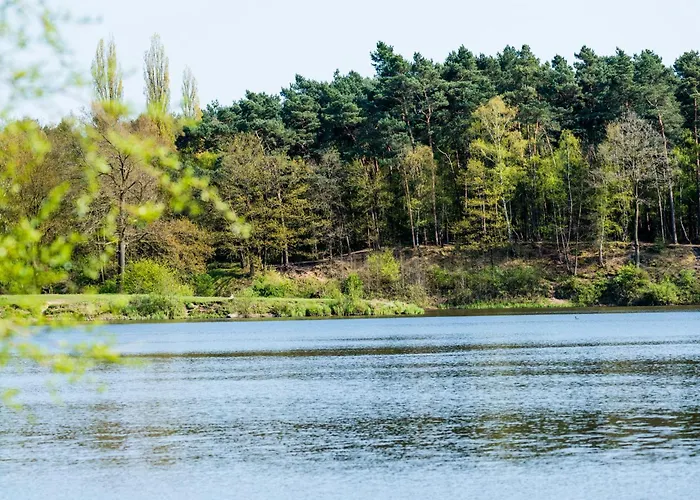 酒店 施普摩尔特瓦尔德酒店 埃姆斯代滕