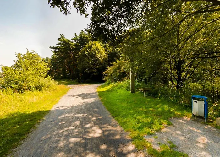Hotell Waldhotel Schipp-hummert 3*